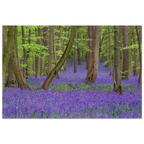 0e41034b-4487-4e2f-8b09-c0be1e4e75f4