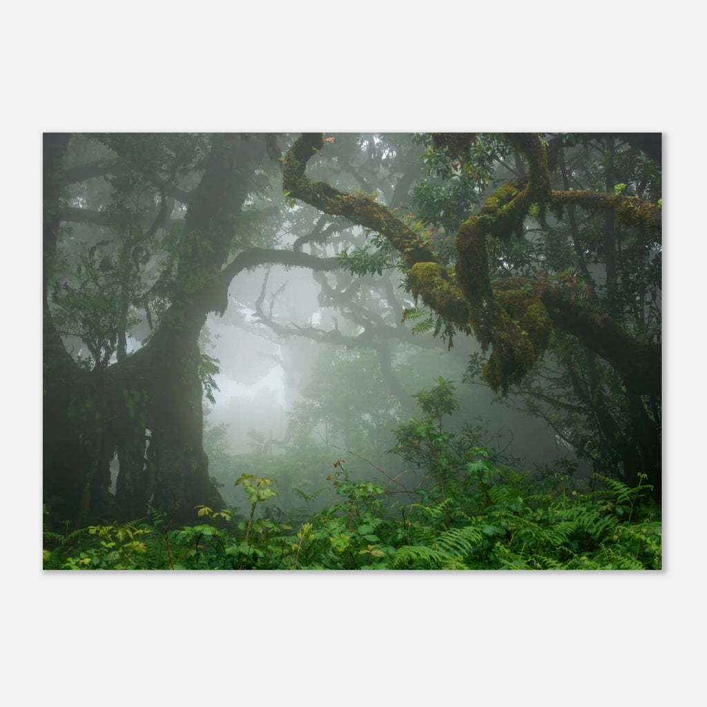 9f1d9c56-a535-41d0-803f-2e62fd0f913a